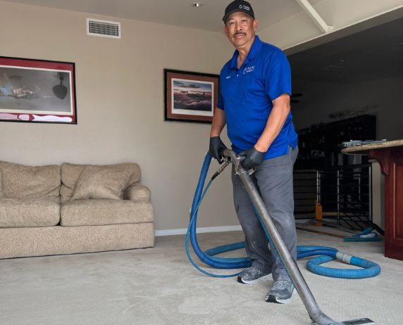 springfield lakes carpet cleaning